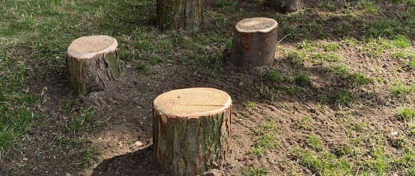 Molenveldlaan_In_de_Kazerne_speelaanleidingen_boomstammetjes