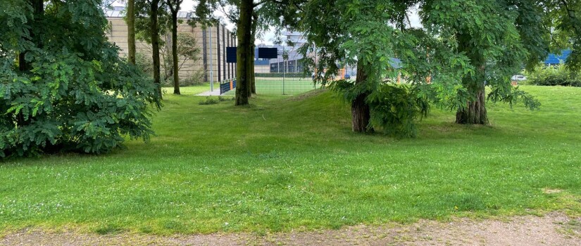 Mogelijke_locatie_bankje_tegenover_kunstwerk_Uil,_parkje_Hatert