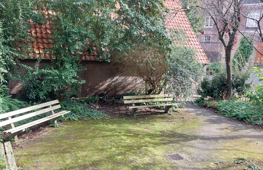 Orgineel_pleintje