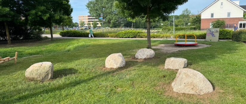 Foto_1
