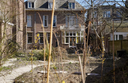 Peduakerk_tuin