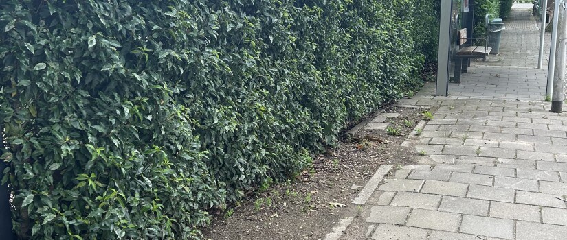 Participatie_Kwakkenbergweg_naast_bushalte_Vijverhof