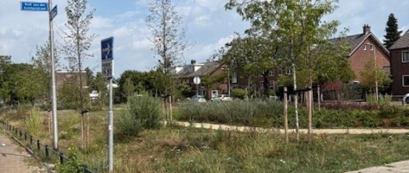 Mogelijke_locatie_watertappunt_Prof._de_Langen_Wendelsstraat
