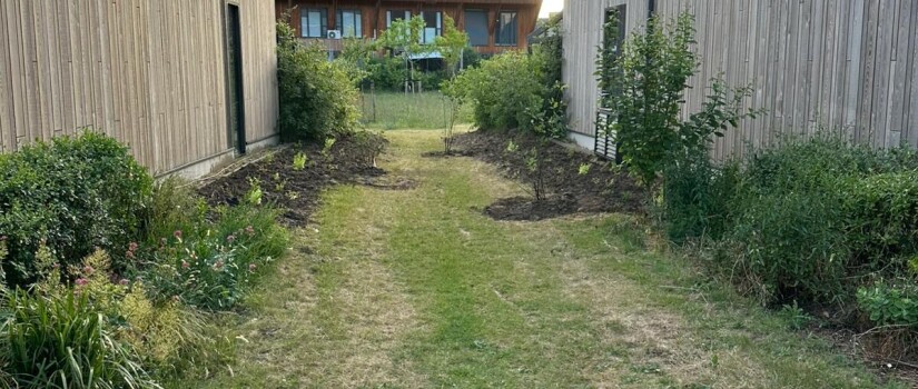 Foto_1