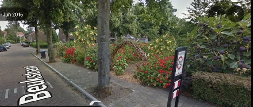 voedselbos_impressie