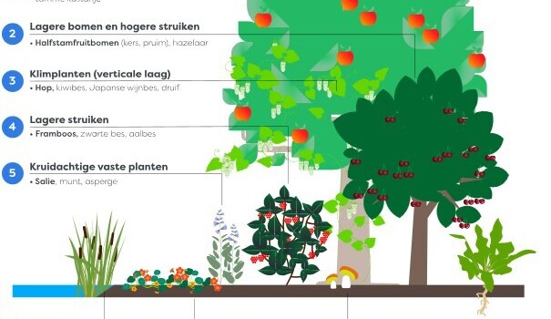 Voedselbos_overzicht_lagen
