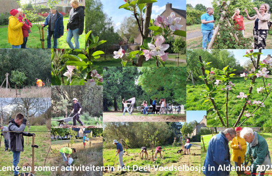 lkb.collage_voedselbosje_._2025