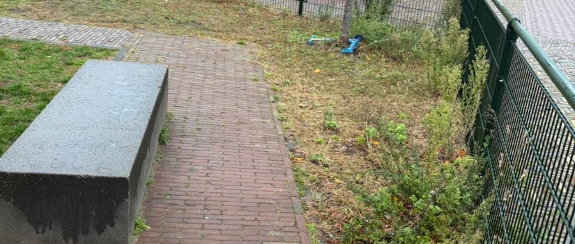Foto_1