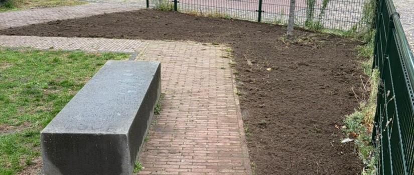 Foto_3