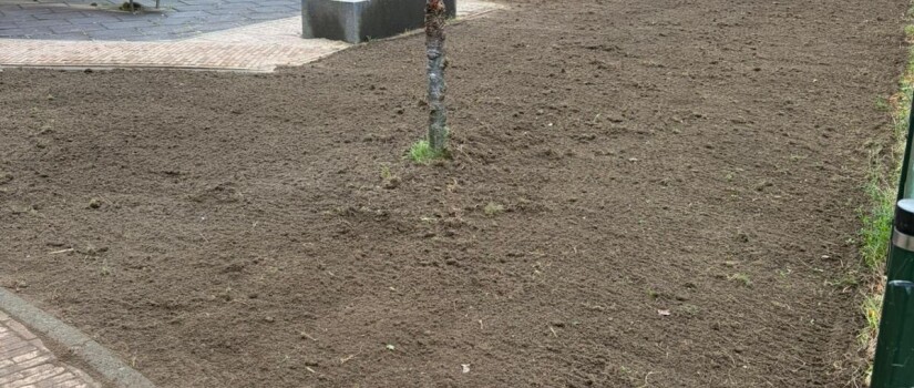Foto_4