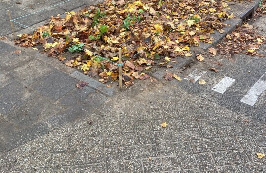 Piet_Heinstraat_groenstrook_3