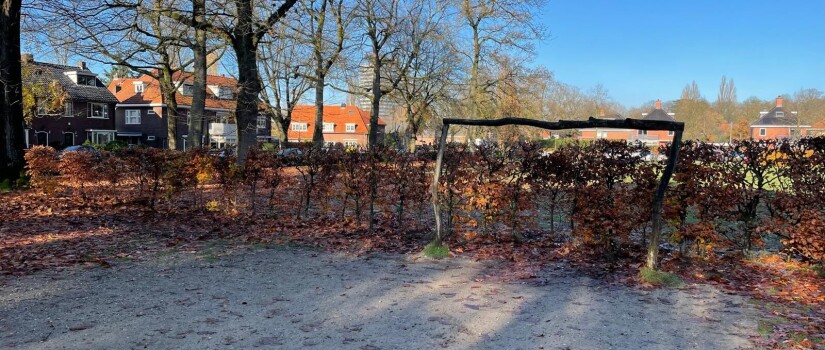 Haag_Driehuizerweg_trapveldje