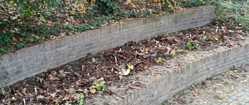 Bart_Hendriksstraat_rechts_klaar