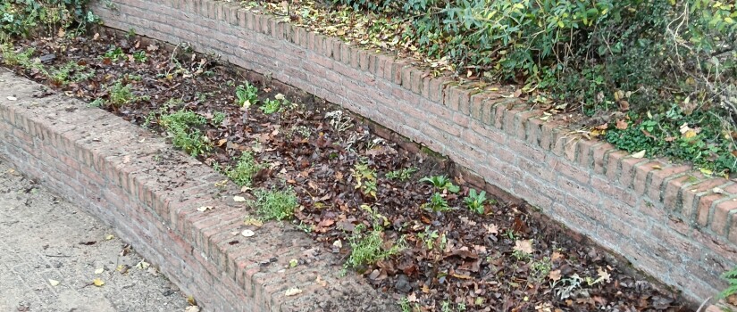 Bart_Hendriksstraat_links_klaar