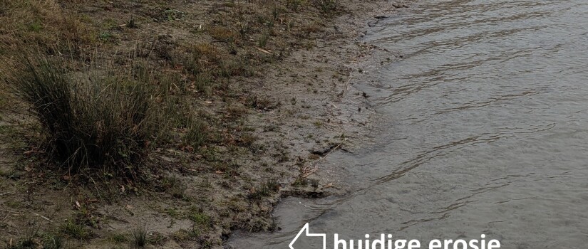 oever_oosterhoutse_plas