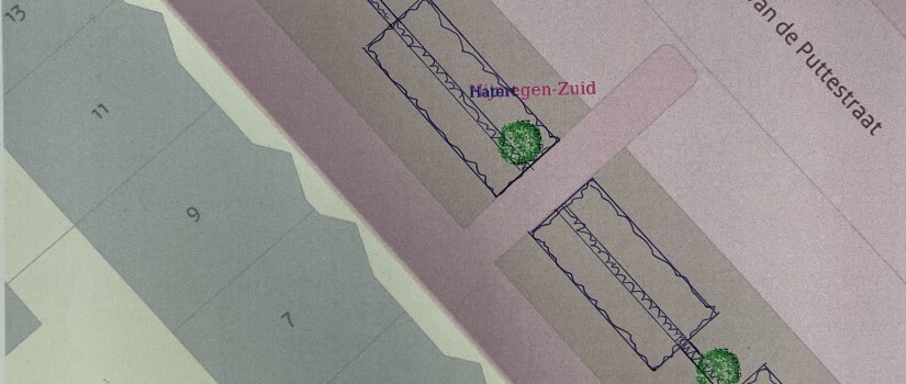 Fransen_van_de_Puttestraat_-_haag