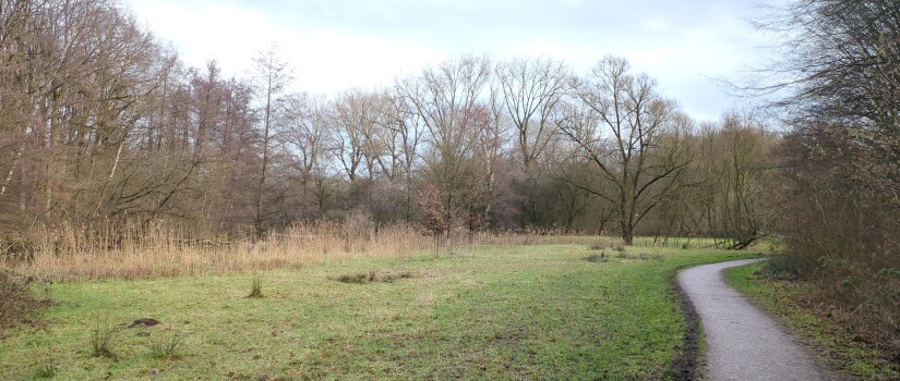 17685707406023960662418286699472