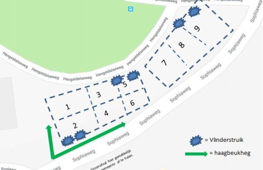 Plan_heemtuin_tramlus_Sophia-Hengstdalseweg2