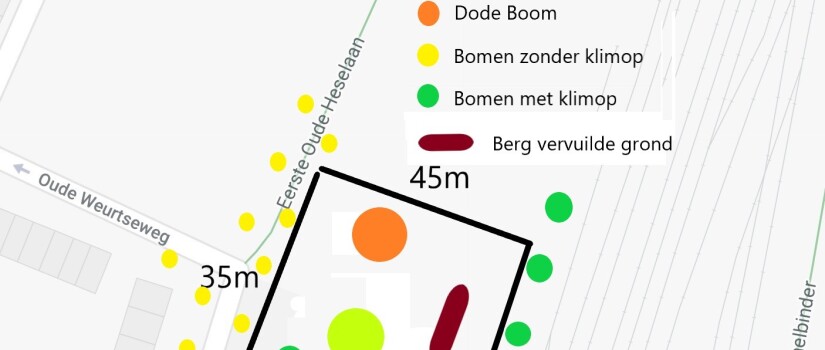 Opp_bomen_en_vervuilde_grond