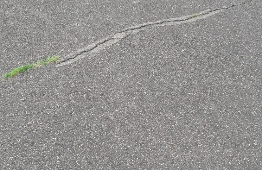 20180605_142710_resized_1