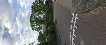 Meer bomen in de Fretstraat - IMG_4109