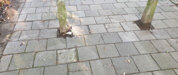 Veiligheid en woongenot verbeteren - 20191010_100207