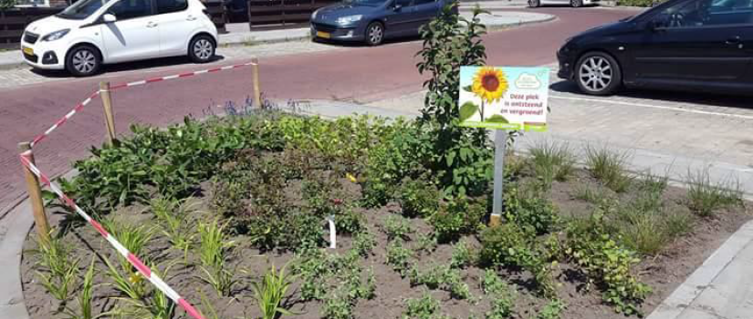 Jan_Luykenstraat_operatie_steenbreek