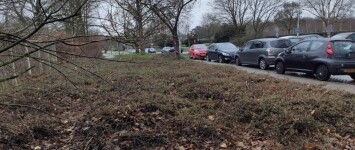 Parkeerplaatsen Slotemaker de Bruïneweg (aftakking) - thumbnail_IMG_20200114_113232