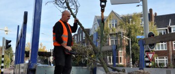 NIEUWE ACTIE: Bomen met de buren