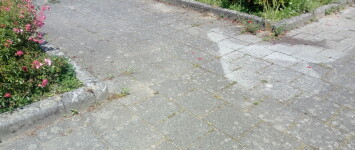 hemelwaterafvoer - IMG_20190617_130757