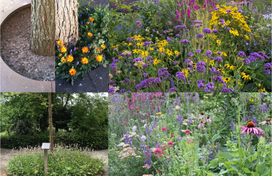 voorbeeld_bloemen_planten