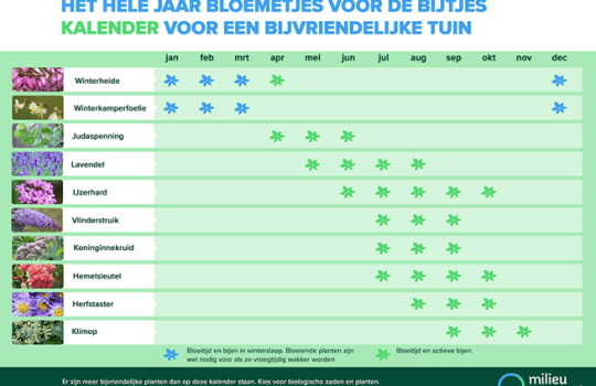 bijen-en-bloemen-kalender