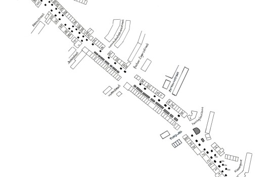 foto_plattegrond_straat_boomspiegels_voorjaar_324