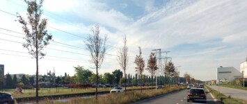 Nieuwe bomen aan de Energieweg
