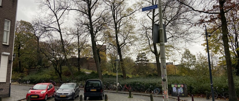bomen_parkweg