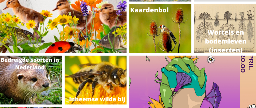 Thema___Concept