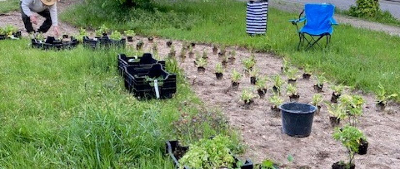 Groene_Perron1