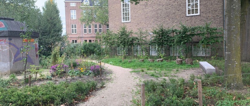 Buurttuin_foto_tuin