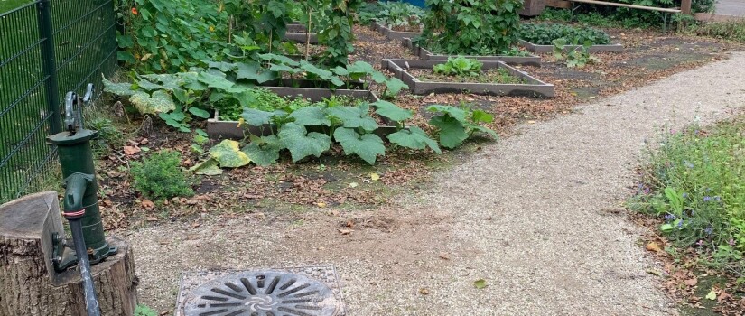 Buurttuin_foto_moestuin_waterpomp