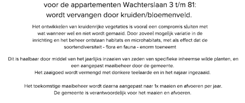 Wachterslaan_kruiden_bloemenveld