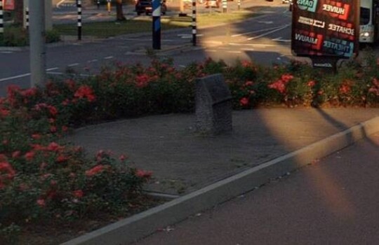 Quackplein_before