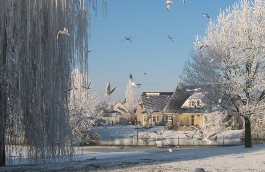 Hegdambroek_bij_bruggetje_naar_Leuvensbroek