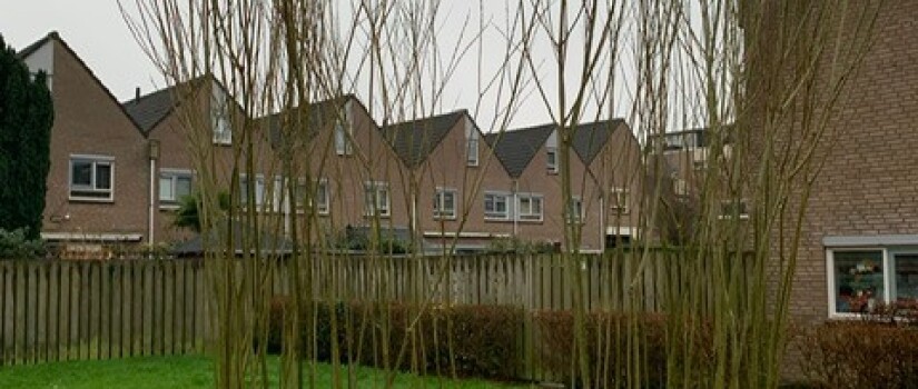 Opbouw_Wilgenhutje