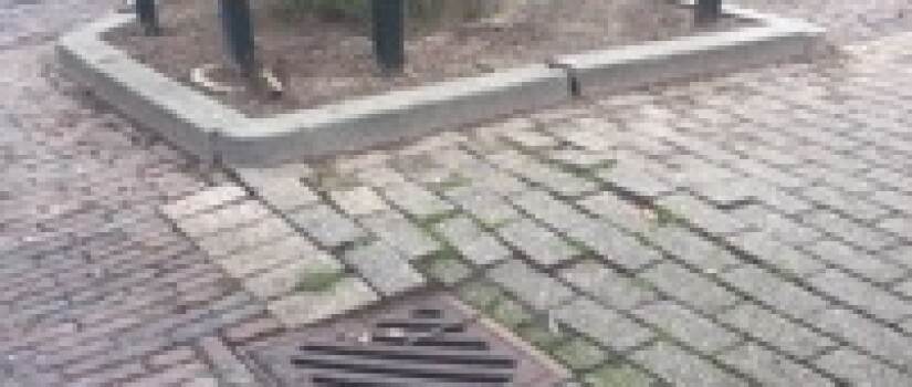 Sweelinckstraat_wortelopdruk_(1)