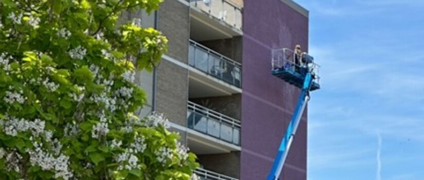 Aanbrengen_Mural_1